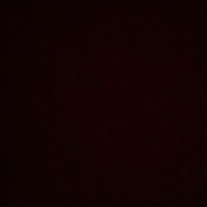 Meet your Posher, Hector